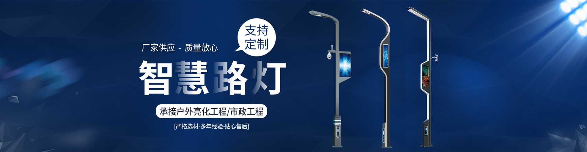 亭湖区太阳能路灯定制厂家
