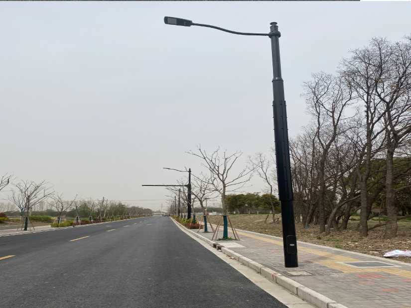 亭湖区上海综合杆 太阳能路灯工程